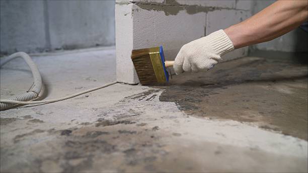 Top rated local Vapor Barrier Installation specialists in Unionville, VA